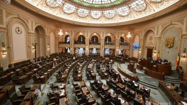 Senat: Ziua Națională a Antreprenoriatului Feminin – instituită în 19 noiembrie