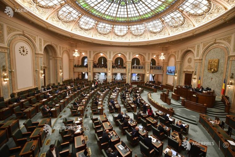 Senat: Ziua Națională a Antreprenoriatului Feminin – instituită în 19 noiembrie