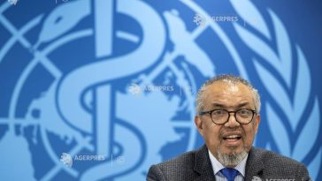 Hantavirus/Riscul pentru omenire este ‘scăzut’, situația nu este similară cu pandemia de COVID-19, afirmă directorul OMS