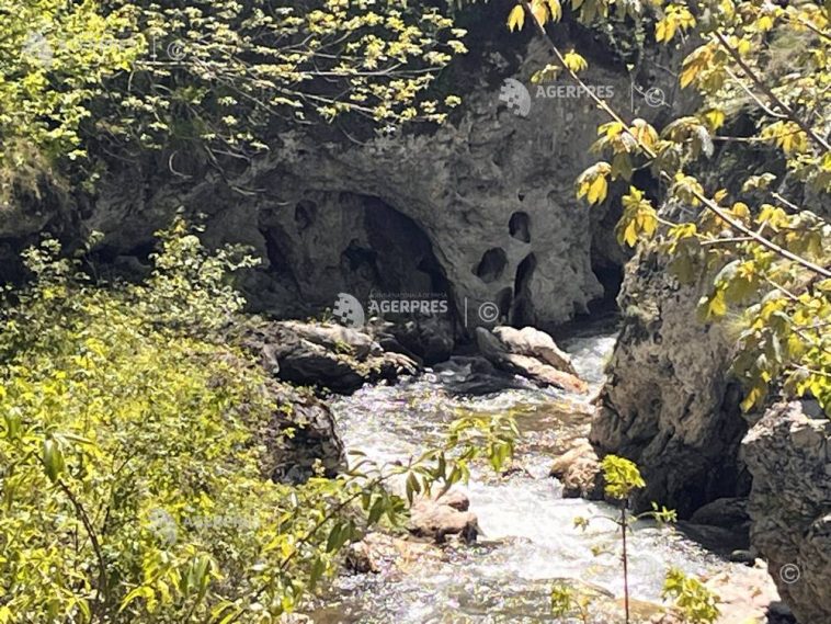 REPORTAJ Vâlcea: Peștera Urșilor – o atracție turistică de pe Cheile Bistriței ce impresionează prin dimensiunea portalului
