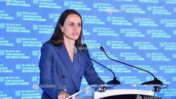 Țoiu: România – printre țările de pe Flancul estic cu cele mai multe încălcări ale spațiului aerian