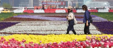 Rusia interzice importul de flori din Armenia cu mai puțin de două săptămâni înaintea alegerilor parlamentare