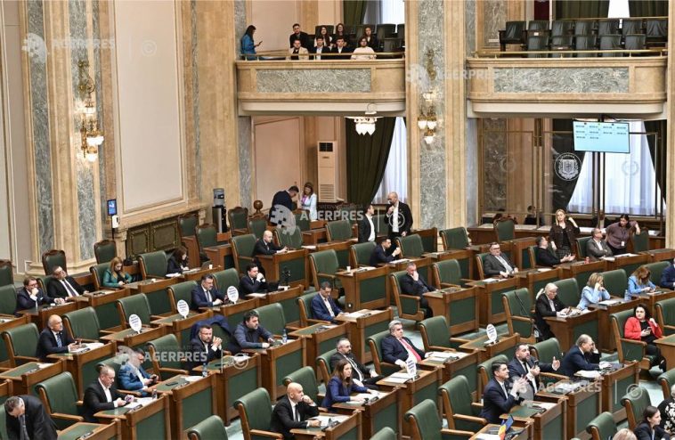 Senat: Declarație ANAF privind finanțările, obligatorie pentru ONG-uri