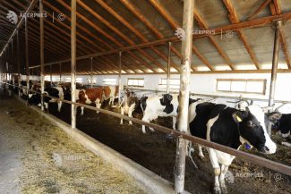 Parchetul European investighează o fraudă de 3,5 milioane de euro, care implică 237 de proiecte agricole finanțate de UE