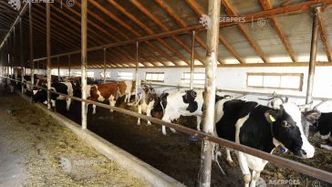 Parchetul European investighează o fraudă de 3,5 milioane de euro, care implică 237 de proiecte agricole finanțate de UE