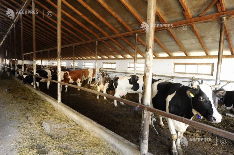 Parchetul European investighează o fraudă de 3,5 milioane de euro, care implică 237 de proiecte agricole finanțate de UE