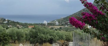 Grecia: 20 de arestări în Creta în ancheta privind fraude cu subvenții agricole europene