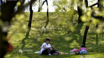 Buzău: 21 de persoane mușcate de căpușe în ultima perioadă; medicii recomandă atenție celor care ies în natură