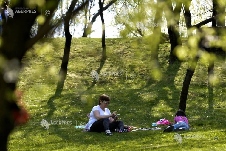 Buzău: 21 de persoane mușcate de căpușe în ultima perioadă; medicii recomandă atenție celor care ies în natură