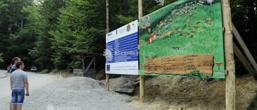 Brașov: Muzeul Pădurii, cel mai nou din România, va putea fi vizitat gratuit sâmbătă