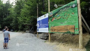 Brașov: Muzeul Pădurii, cel mai nou din România, va putea fi vizitat gratuit sâmbătă