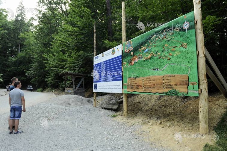 Brașov: Muzeul Pădurii, cel mai nou din România, va putea fi vizitat gratuit sâmbătă
