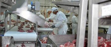 Producția de carne și sacrificările de porci, ovine, caprine și păsări au crescut în martie 2026; la bovine au scăzut