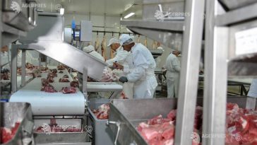 Producția de carne și sacrificările de porci, ovine, caprine și păsări au crescut în martie 2026; la bovine au scăzut