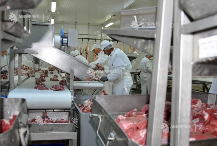 Producția de carne și sacrificările de porci, ovine, caprine și păsări au crescut în martie 2026; la bovine au scăzut