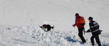 Prahova: Polițiștii au deschis dosar penal pentru ucidere din culpă în cazul schiorului decedat în avalanșă