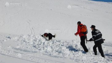 Prahova: Polițiștii au deschis dosar penal pentru ucidere din culpă în cazul schiorului decedat în avalanșă