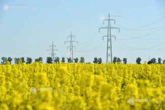 Analiză AEI: România, pe primul loc în UE la povara reală a prețului la energie electrică