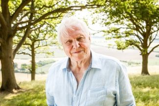 „Cel mai mare ambasador al vieţii pe Pământ”: omagii pentru David Attenborough la împlinirea a 100 de ani / Naturalistul spune că a fost „copleşit de mesajele de felicitare