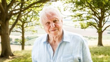 „Cel mai mare ambasador al vieţii pe Pământ”: omagii pentru David Attenborough la împlinirea a 100 de ani / Naturalistul spune că a fost „copleşit de mesajele de felicitare