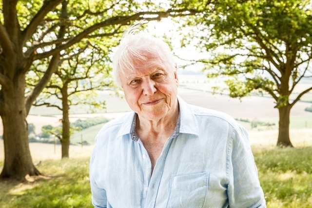„Cel mai mare ambasador al vieţii pe Pământ”: omagii pentru David Attenborough la împlinirea a 100 de ani / Naturalistul spune că a fost „copleşit de mesajele de felicitare