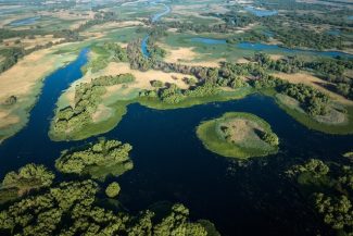 „Delta Sălbatică”, primul documentar românesc de amploare dedicat Deltei Dunării, prezentat în premieră în cadrul LYNX Festival/ FOTO