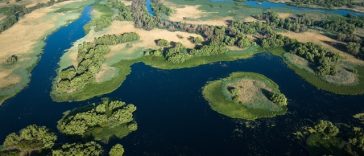 „Delta Sălbatică”, primul documentar românesc de amploare dedicat Deltei Dunării, prezentat în premieră în cadrul LYNX Festival/ FOTO