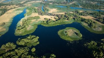 „Delta Sălbatică”, primul documentar românesc de amploare dedicat Deltei Dunării, prezentat în premieră în cadrul LYNX Festival/ FOTO