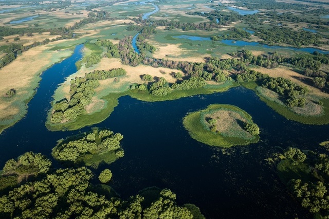 „Delta Sălbatică”, primul documentar românesc de amploare dedicat Deltei Dunării, prezentat în premieră în cadrul LYNX Festival/ FOTO