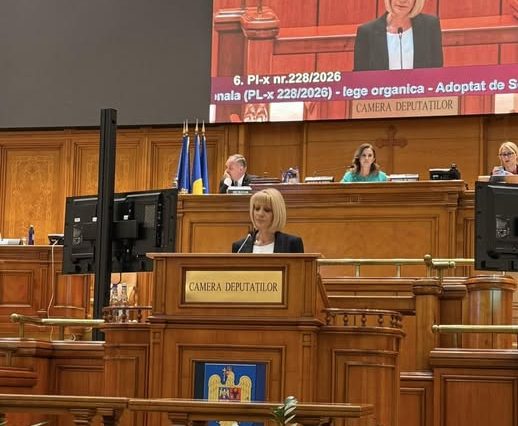 Diana Tușa la tribuna Camerei Deputaților, în cadrul dezbaterilor privind protejarea victimelor minore în procesele penale.