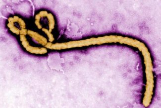 Un caz de Ebola confirmat într-o zonă din Congo controlată de rebeli, departe de epicentrul epidemiei