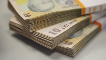 ANPIS: În perioada 2020 – 2025, numărul celor care au revenit în România şi au solicitat deschiderea drepturilor la beneficii familiale a fost mai mare decât al celor care au plecat / Germania, principala destinaţie pentru lucrătorii migranţi români