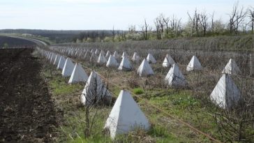 Ucraina îşi întăreşte apărarea la frontiera cu Transnistria: „Trebuie să fim pregătiţi pentru orice scenariu”
