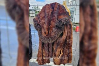 Suceava: Haine din blană de nurcă şi piei de şinşilă, găsite într-un camion condus de un ucrainean, la intrarea în ţară pe la PTF Vicovu de Sus