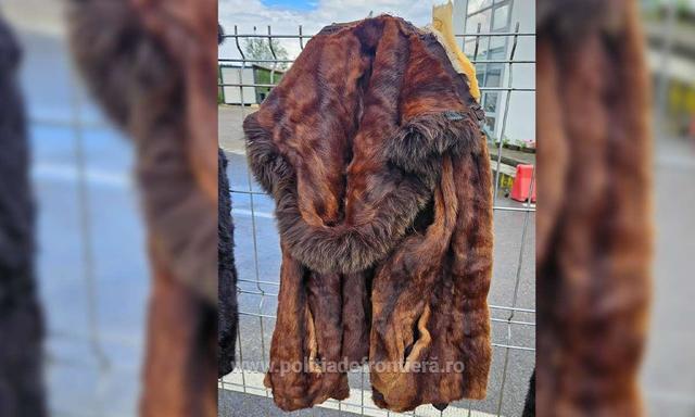Suceava: Haine din blană de nurcă şi piei de şinşilă, găsite într-un camion condus de un ucrainean, la intrarea în ţară pe la PTF Vicovu de Sus