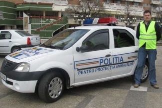 Vrancea: Bărbat acuzat că a ucis un câine, reţinut / L-ar fi lovit de mai multe ori cu un ciocan