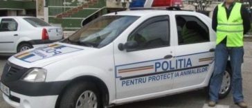 Vrancea: Bărbat acuzat că a ucis un câine, reţinut / L-ar fi lovit de mai multe ori cu un ciocan