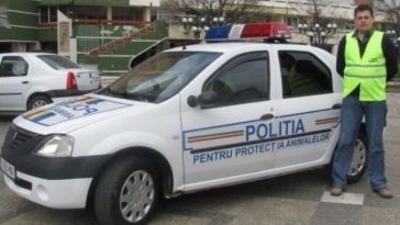Vrancea: Bărbat acuzat că a ucis un câine, reţinut / L-ar fi lovit de mai multe ori cu un ciocan
