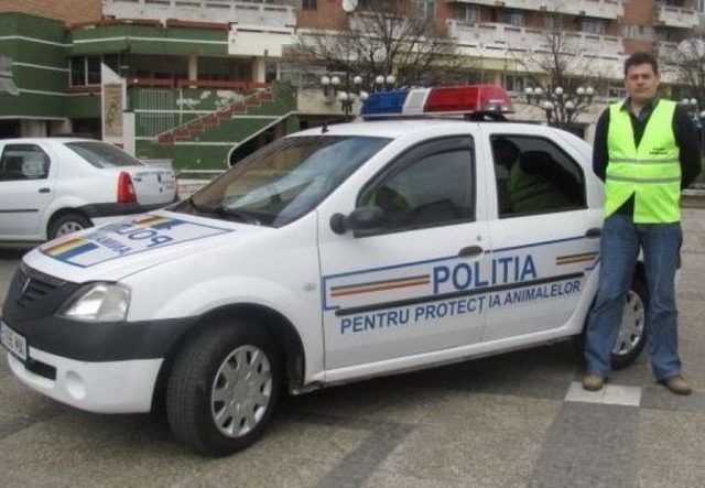 Vrancea: Bărbat acuzat că a ucis un câine, reţinut / L-ar fi lovit de mai multe ori cu un ciocan