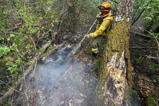 Bihor: Incendiul de la groapa de gunoi din Oradea a fost stins/ În schimb, pompierii continuă operaţiunea în cazul focarelor din zona împădurită dintre Şuncuiuş şi Vadu Crişului – VIDEO, FOTO
