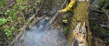 Bihor: Incendiul de la groapa de gunoi din Oradea a fost stins/ În schimb, pompierii continuă operaţiunea în cazul focarelor din zona împădurită dintre Şuncuiuş şi Vadu Crişului – VIDEO, FOTO