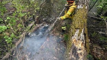 Bihor: Incendiul de la groapa de gunoi din Oradea a fost stins/ În schimb, pompierii continuă operaţiunea în cazul focarelor din zona împădurită dintre Şuncuiuş şi Vadu Crişului – VIDEO, FOTO