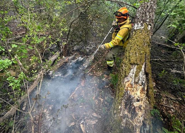Bihor: Incendiul de la groapa de gunoi din Oradea a fost stins/ În schimb, pompierii continuă operaţiunea în cazul focarelor din zona împădurită dintre Şuncuiuş şi Vadu Crişului – VIDEO, FOTO