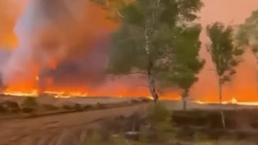 Un incendiu devastează un poligon militar din estul Olandei. Stingerea lui ar putea dura câteva zile din cauza condiţiilor meteo – VIDEO