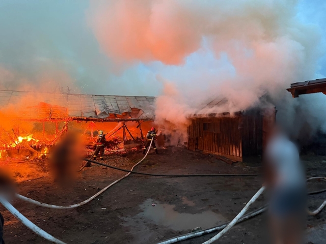 Suceava: Un incendiu violent a cuprins două adăposturi de animale, în localitatea Frătăuţii Vechi – FOTO