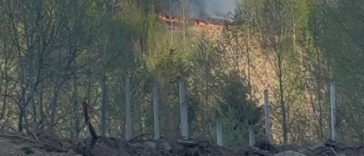 Incendiu de pădure pe Valea Anieşului, în Bistriţa-Năsăud/ Focul a pornit, cel mai probabil, de la o ţigară aruncată aprinsă