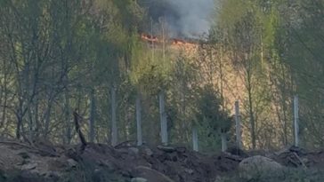 Incendiu de pădure pe Valea Anieşului, în Bistriţa-Năsăud/ Focul a pornit, cel mai probabil, de la o ţigară aruncată aprinsă