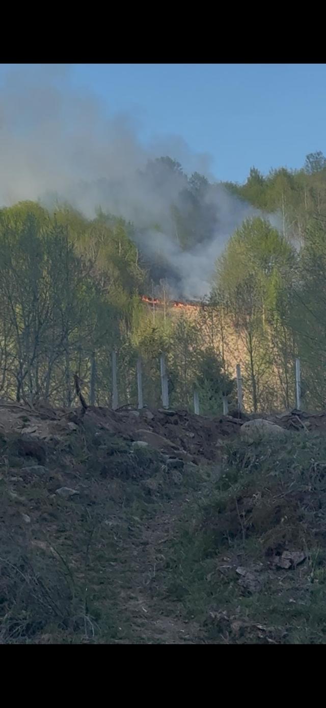 Incendiu de pădure pe Valea Anieşului, în Bistriţa-Năsăud/ Focul a pornit, cel mai probabil, de la o ţigară aruncată aprinsă