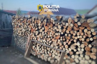 Poliţia Română: Faptele ilicite din domeniul silvic, în scădere cu 4% în primele trei luni din acest an faţă de 2025 / Aroape 2.800 de dodare penale, în care sunt cercetate 600 de persoane