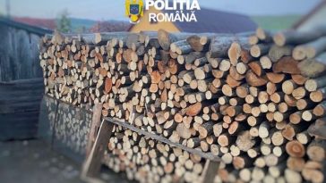 Poliţia Română: Faptele ilicite din domeniul silvic, în scădere cu 4% în primele trei luni din acest an faţă de 2025 / Aroape 2.800 de dodare penale, în care sunt cercetate 600 de persoane